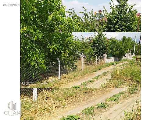 Kemalpasa Oren Yol Kenari 4650 M2 Kiraz Ve Seftali Bahcesi Satilik Arsa Ilanlari Sahibinden Com Da 608020283