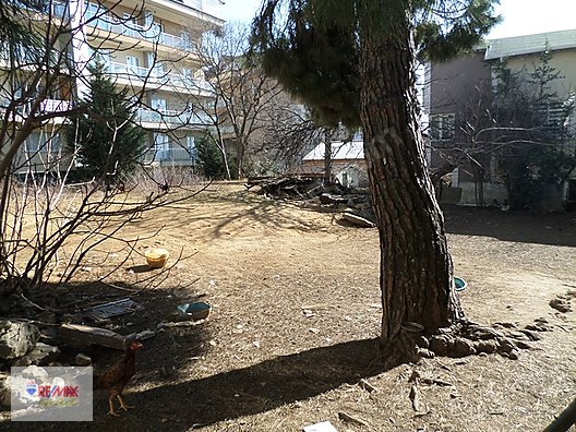 İstanbul Remax Gold Emlak ilanları