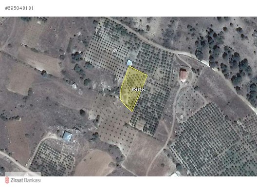 t c ziraat bankasi a s sahibinden