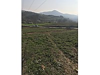 Dagyenice De Belen Mevkii Nde 13 420 M Satilik Arazi Satilik Arsa Ilanlari Sahibinden Com Da 871072666