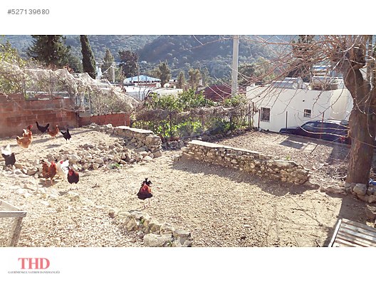 Muğla Bodrum THD GAYRİMENKUL Emlak ilanları