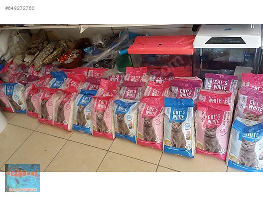 alsancak petshop sahibinden com