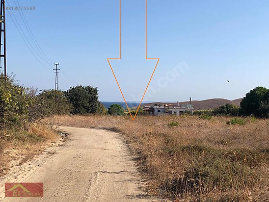 Çanakkale Ezine Ev Emlak Arsa Ofisi Emlak ilanları