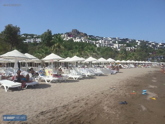 Muğla COLDWELL BANKER ARTEMİS Emlak ilanları