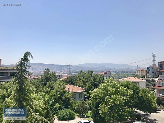 İzmir COLDWELL BANKER Nova Gayrimenkul Danışmanlık Emlak ilanları