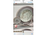 Tulu Porselen Vintage 12 Parca Yemek Takimi Fiyatlari