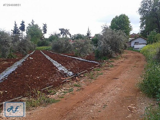 Antalya REYHAN EMLAK VARSAK Emlak ilanları