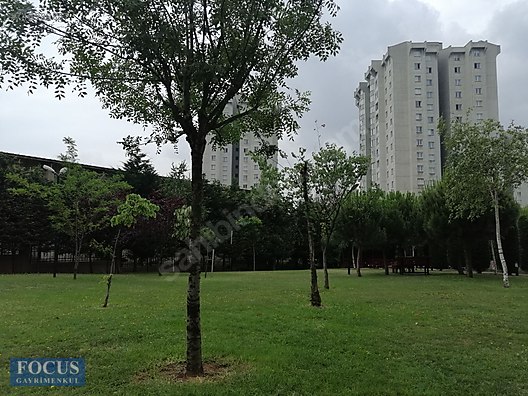 İstanbul FOCUS GAYRİMENKUL GÜNEŞ PARK ıhlamur Emlak ilanları sahibinden