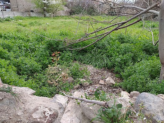 Bursa İznik İznik Kule gayrimenkul Emlak ilanları