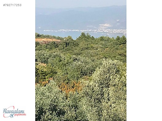 İstanbul Pendik HAVAALANI GAYRİMENKUL&amp;YATIRIM Emlak ilanları sahibinden