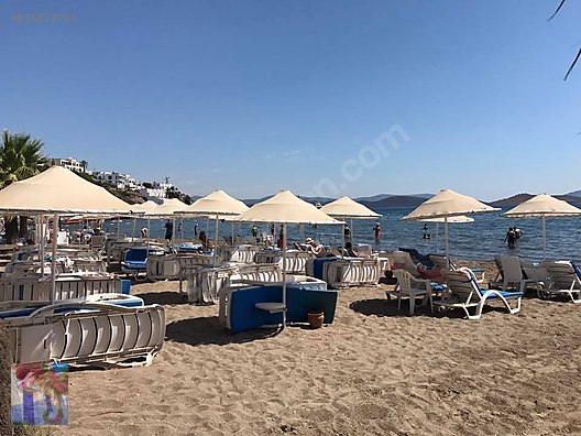 Mugla Bodrum Emlak Team Emlak Ilanlari Sahibinden Com Da