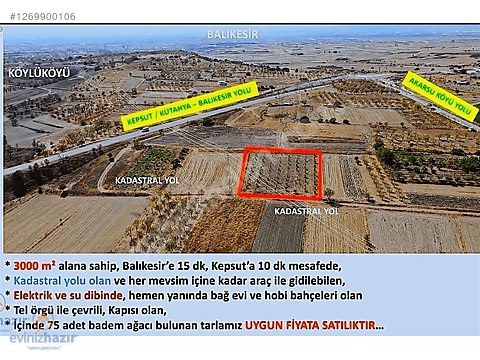 KEPSUT ANAYOLUNA 1 PARSEL KADASTRAL YOLU OLAN TARLA/HOBİ BAHÇESİ