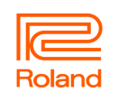 Roland Müzik