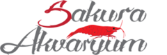 Sakura Akvaryum