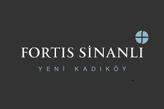 istanbul kadikoy fortis sinanli yeni kadikoy emlak ilanlari sahibinden com da