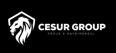 CESUR GROUP
