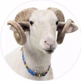 KARTAL YAKACIK ADAK KURBAN SATIŞ MERKEZİ